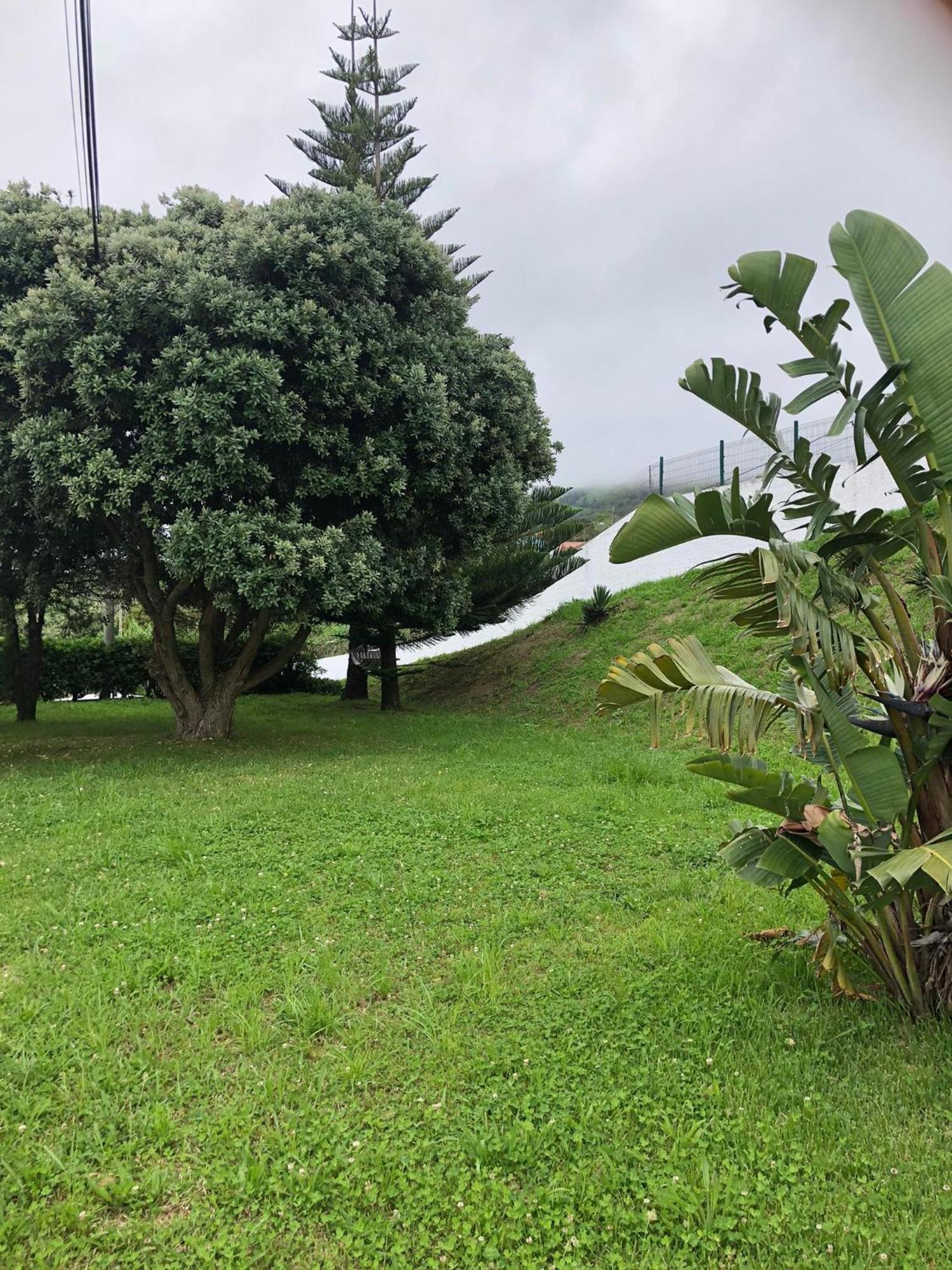 Vivenda Flor Villa Ponta Delgada Eksteriør bilde