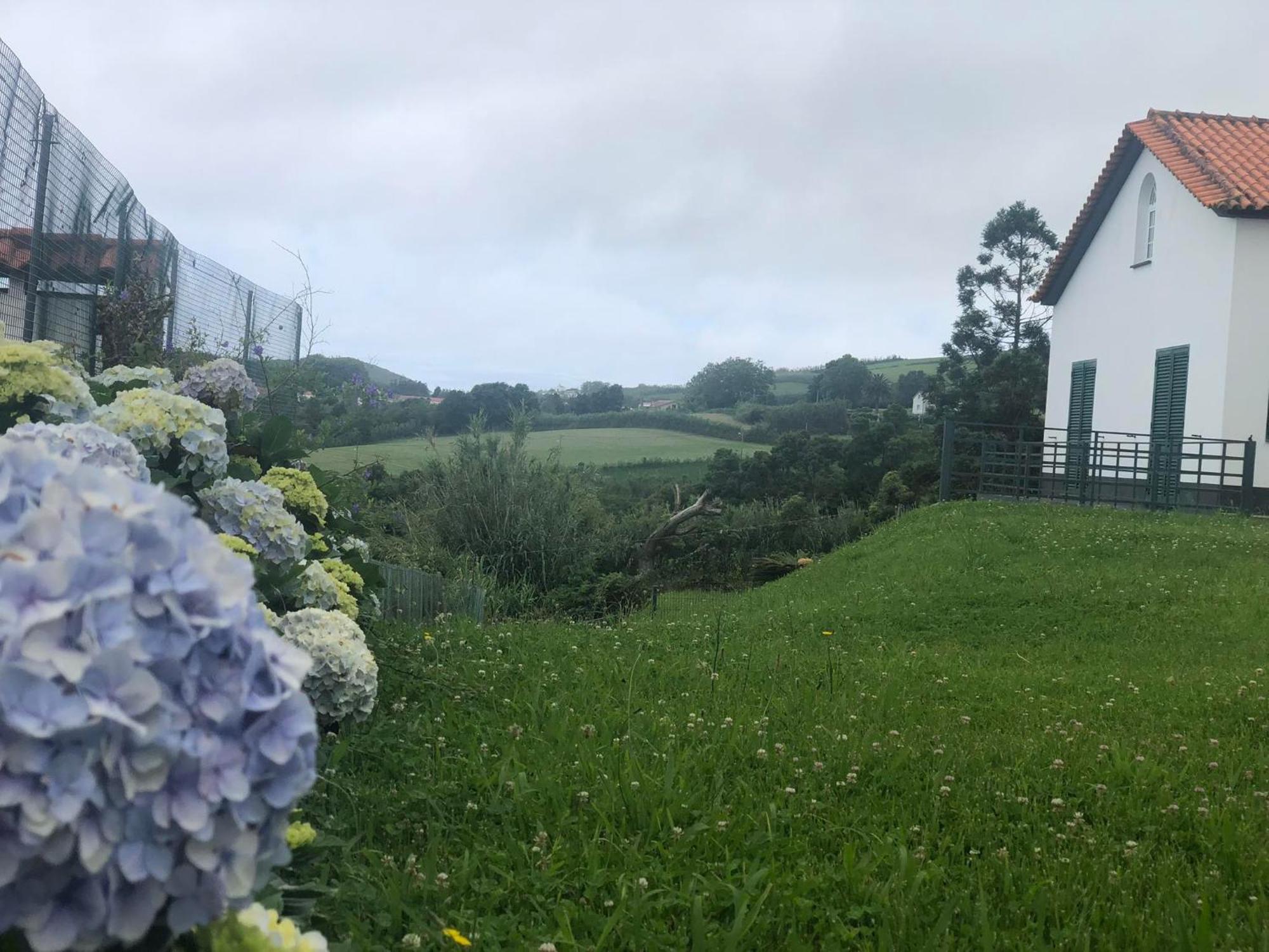 Vivenda Flor Villa Ponta Delgada Eksteriør bilde