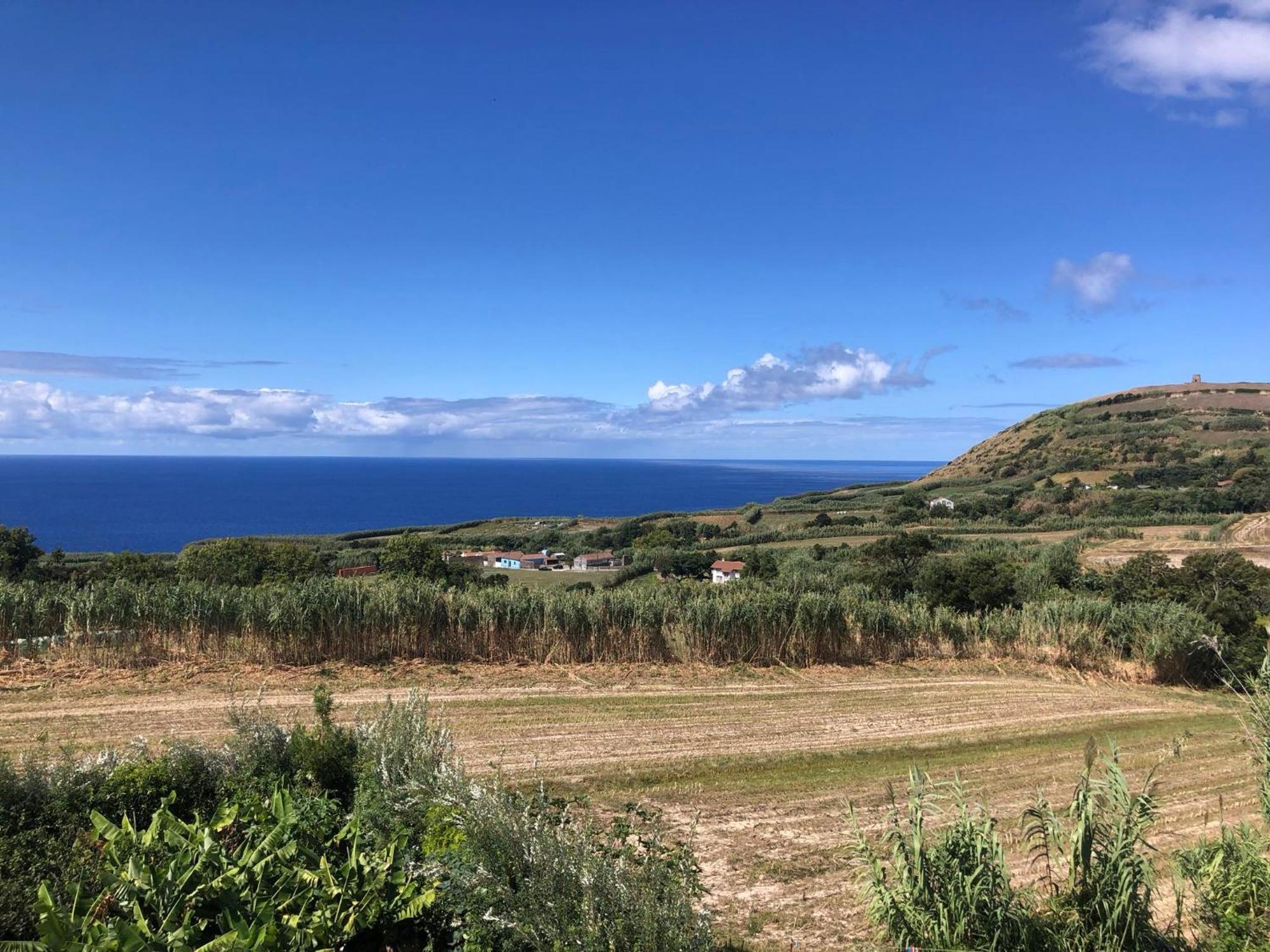 Vivenda Flor Villa Ponta Delgada Eksteriør bilde